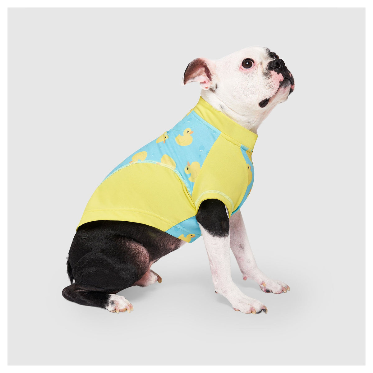 Canada Pooch Sun Shield Tee｜狗狗服飾｜加拿大直送-狗-毛孩物語Pets Thing｜香港寵物貓狗用品專門店：IATA寵物飛機籠、寵物手推車、貓爬架貓樹