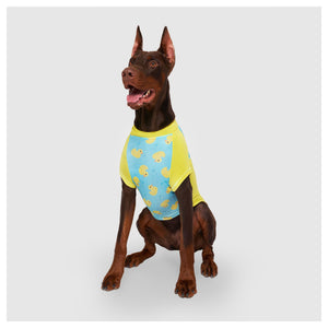 Canada Pooch Sun Shield Tee｜狗狗服飾｜加拿大直送-狗-毛孩物語Pets Thing｜香港寵物貓狗用品專門店：IATA寵物飛機籠、寵物手推車、貓爬架貓樹