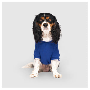 Canada Pooch Eco+ Everyday Hoodie｜狗狗服飾｜加拿大直送 產品細節圖 2