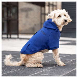 Canada Pooch Eco+ Everyday Hoodie｜狗狗服飾｜加拿大直送 產品細節圖 5