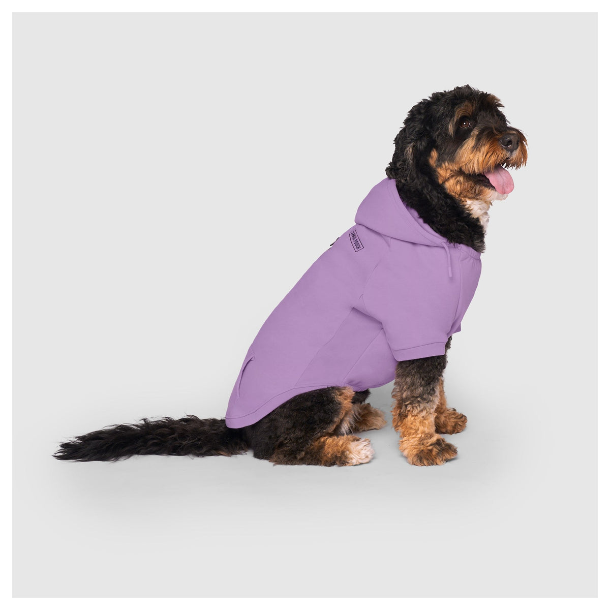 Canada Pooch Eco+ Everyday Hoodie｜狗狗服飾｜加拿大直送 產品細節圖 6