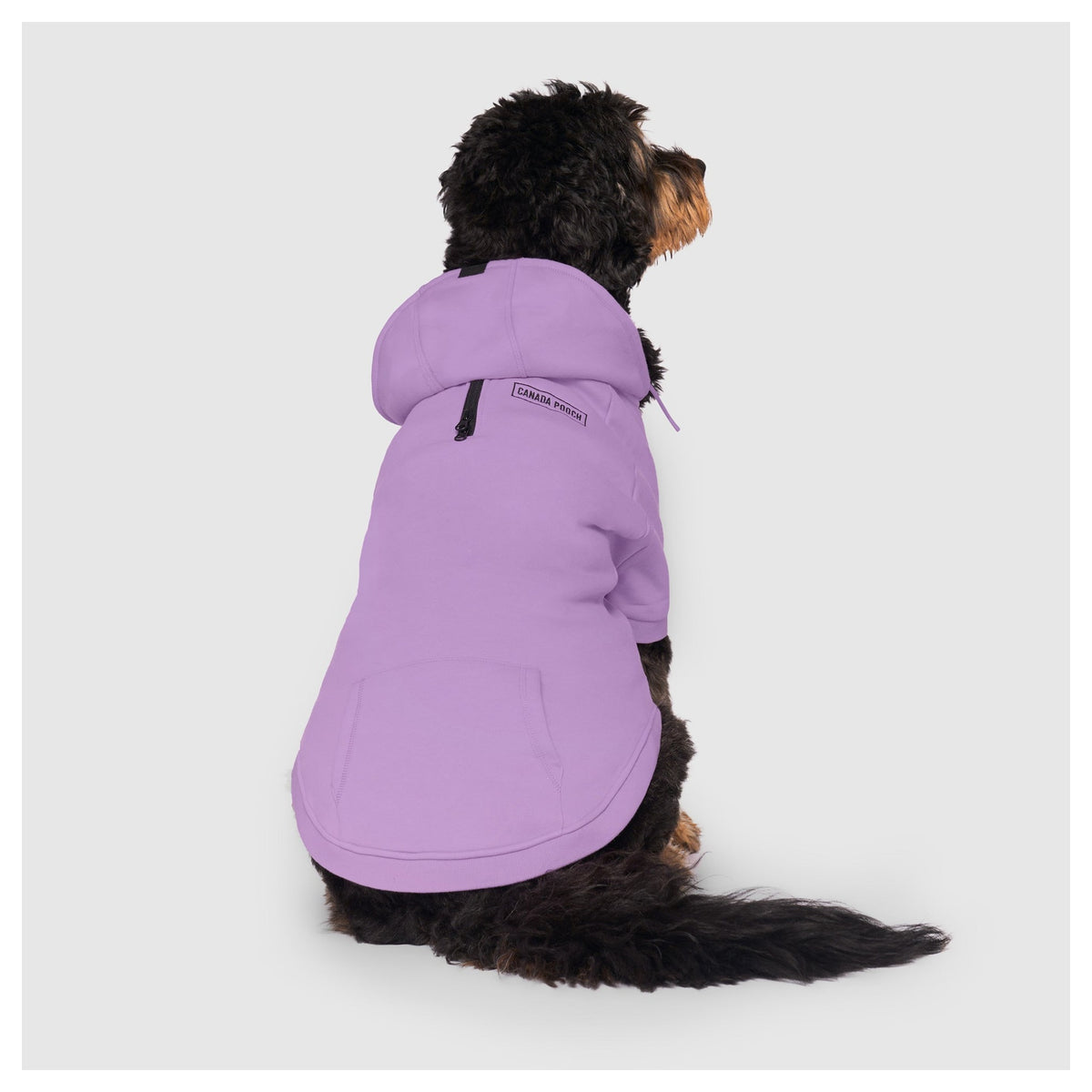 Canada Pooch Eco+ Everyday Hoodie｜狗狗服飾｜加拿大直送 產品細節圖 8