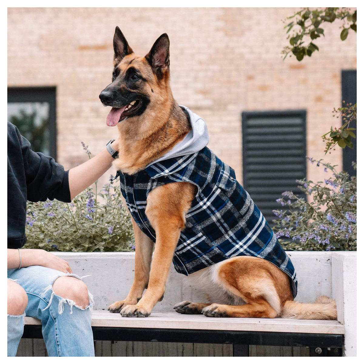 Canada Pooch The Shacket｜狗狗服飾｜加拿大直送-狗-毛孩物語Pets Thing｜香港寵物貓狗用品專門店：IATA寵物飛機籠、寵物手推車、貓爬架貓樹