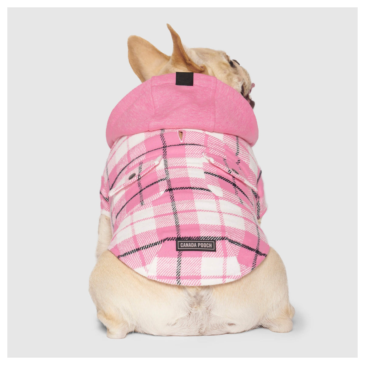 Canada Pooch The Shacket｜狗狗服飾｜加拿大直送-狗-毛孩物語Pets Thing｜香港寵物貓狗用品專門店：IATA寵物飛機籠、寵物手推車、貓爬架貓樹