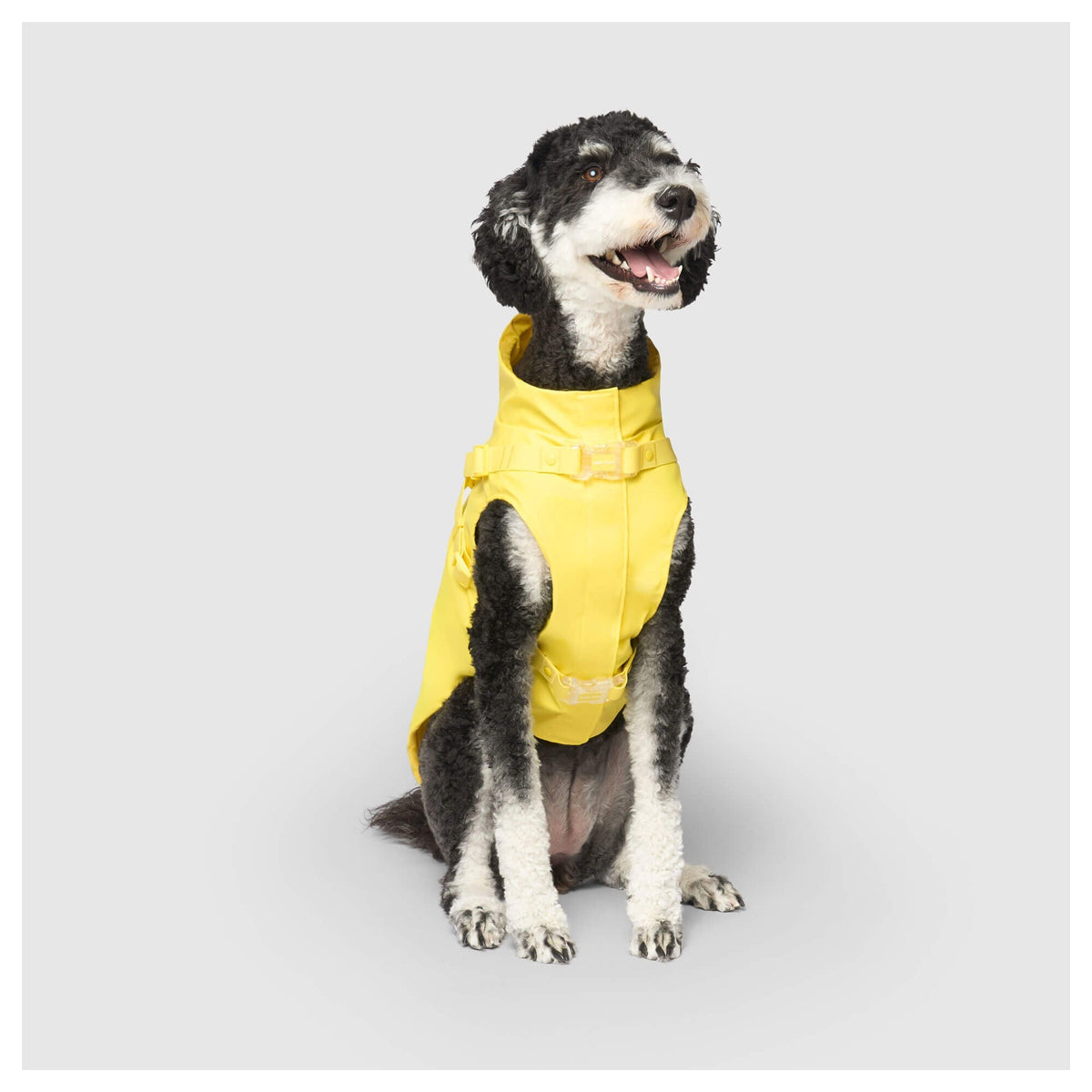 Canada Pooch Harness Raincoat｜狗狗雨具｜加拿大直送 產品細節圖 2