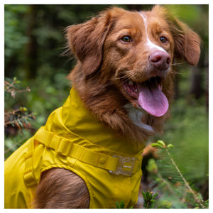 Canada Pooch Harness Raincoat｜狗狗雨具｜加拿大直送-狗-毛孩物語Pets Thing｜香港寵物貓狗用品專門店：IATA寵物飛機籠、寵物手推車、貓爬架貓樹