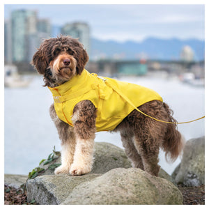 Canada Pooch Harness Raincoat｜狗狗雨具｜加拿大直送-狗-毛孩物語Pets Thing｜香港寵物貓狗用品專門店：IATA寵物飛機籠、寵物手推車、貓爬架貓樹