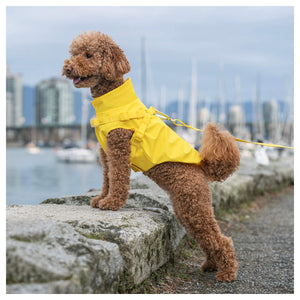 Canada Pooch Harness Raincoat｜狗狗雨具｜加拿大直送-狗-毛孩物語Pets Thing｜香港寵物貓狗用品專門店：IATA寵物飛機籠、寵物手推車、貓爬架貓樹