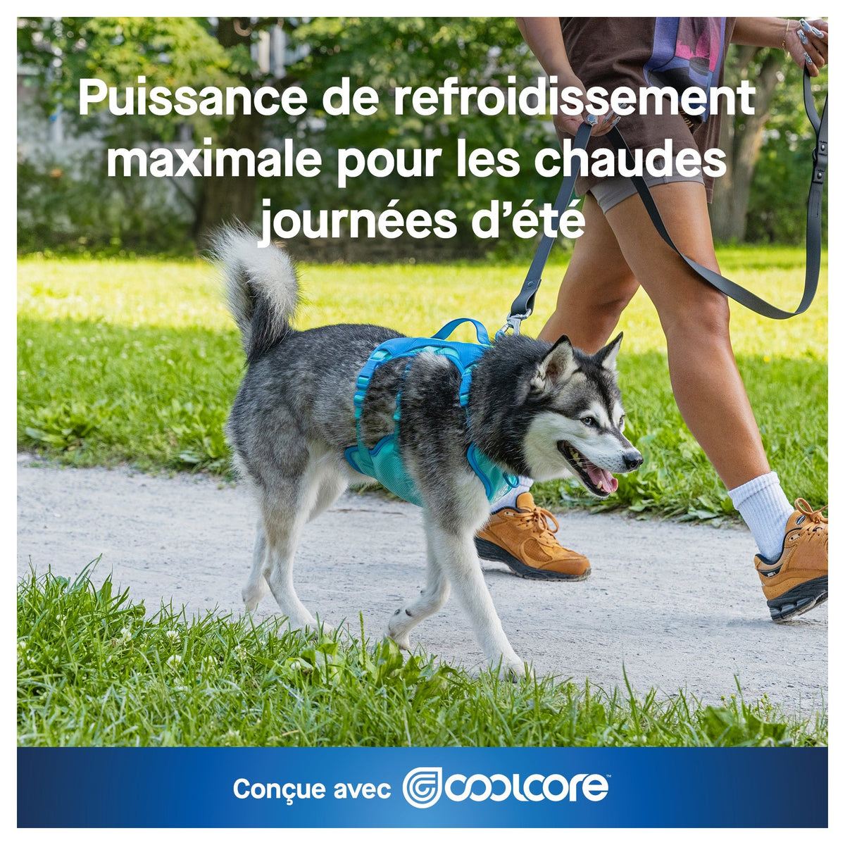Canada Pooch Max Chill Cooling Harness｜狗狗胸帶及戶外用品｜加拿大直送-寵物胸背帶-毛孩物語Pets Thing｜香港寵物貓狗用品專門店：IATA寵物飛機籠、寵物手推車、貓爬架貓樹