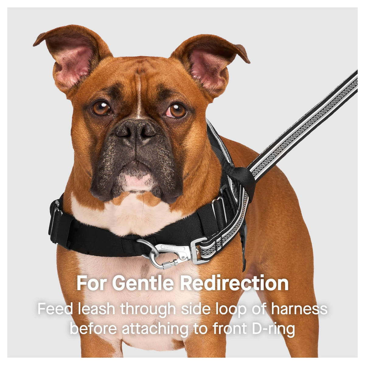 Canada Pooch Re-Direct Harness｜狗狗胸帶及戶外用品｜加拿大直送-寵物胸背帶-毛孩物語Pets Thing｜香港寵物貓狗用品專門店：IATA寵物飛機籠、寵物手推車、貓爬架貓樹
