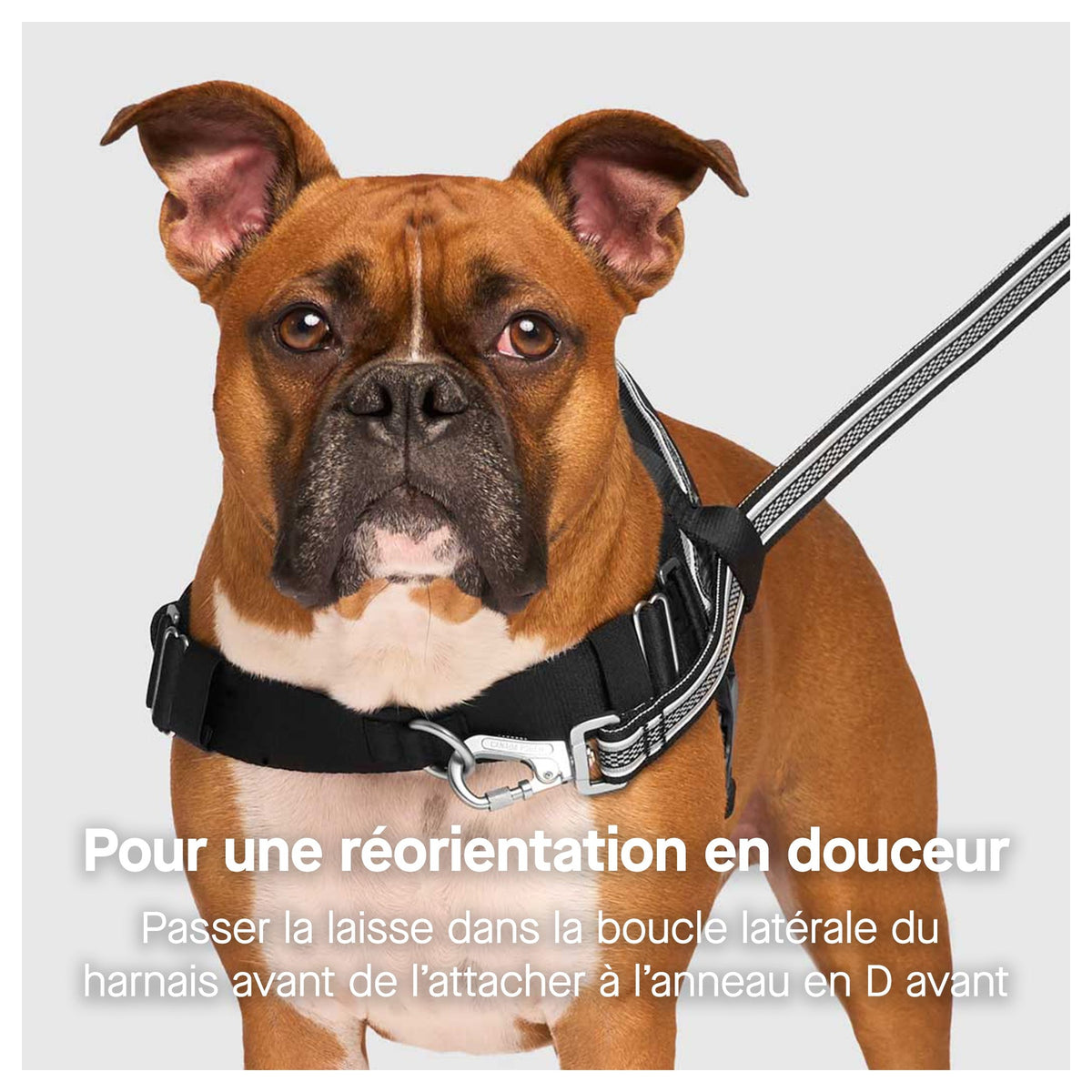 Canada Pooch Re-Direct Harness｜狗狗胸帶及戶外用品｜加拿大直送-寵物胸背帶-毛孩物語Pets Thing｜香港寵物貓狗用品專門店：IATA寵物飛機籠、寵物手推車、貓爬架貓樹