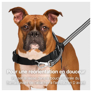 Canada Pooch Re-Direct Harness｜狗狗胸帶及戶外用品｜加拿大直送-寵物胸背帶-毛孩物語Pets Thing｜香港寵物貓狗用品專門店：IATA寵物飛機籠、寵物手推車、貓爬架貓樹