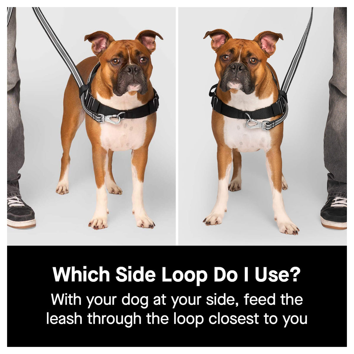 Canada Pooch Re-Direct Harness｜狗狗胸帶及戶外用品｜加拿大直送-寵物胸背帶-毛孩物語Pets Thing｜香港寵物貓狗用品專門店：IATA寵物飛機籠、寵物手推車、貓爬架貓樹