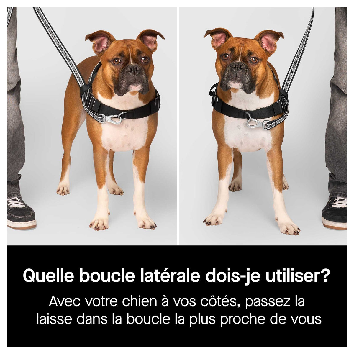 Canada Pooch Re-Direct Harness｜狗狗胸帶及戶外用品｜加拿大直送-寵物胸背帶-毛孩物語Pets Thing｜香港寵物貓狗用品專門店：IATA寵物飛機籠、寵物手推車、貓爬架貓樹