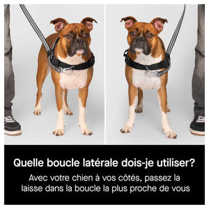Canada Pooch Re-Direct Harness｜狗狗胸帶及戶外用品｜加拿大直送-寵物胸背帶-毛孩物語Pets Thing｜香港寵物貓狗用品專門店：IATA寵物飛機籠、寵物手推車、貓爬架貓樹