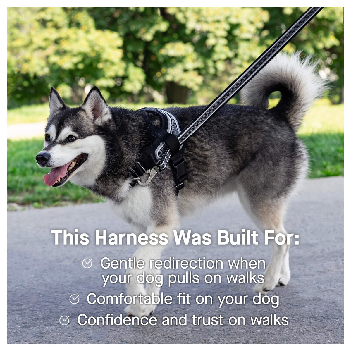 Canada Pooch Re-Direct Harness｜狗狗胸帶及戶外用品｜加拿大直送-寵物胸背帶-毛孩物語Pets Thing｜香港寵物貓狗用品專門店：IATA寵物飛機籠、寵物手推車、貓爬架貓樹
