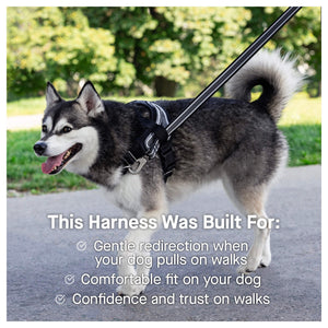 Canada Pooch Re-Direct Harness｜狗狗胸帶及戶外用品｜加拿大直送-寵物胸背帶-毛孩物語Pets Thing｜香港寵物貓狗用品專門店：IATA寵物飛機籠、寵物手推車、貓爬架貓樹