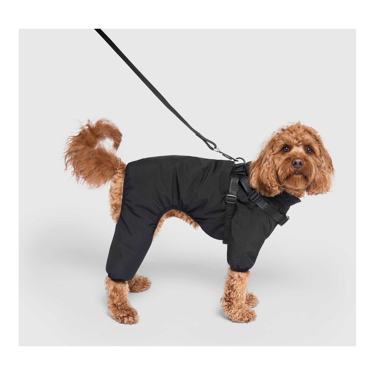 Canada Pooch Harness Snow Suit｜狗狗服飾｜加拿大直送-狗-毛孩物語Pets Thing｜香港寵物貓狗用品專門店：IATA寵物飛機籠、寵物手推車、貓爬架貓樹