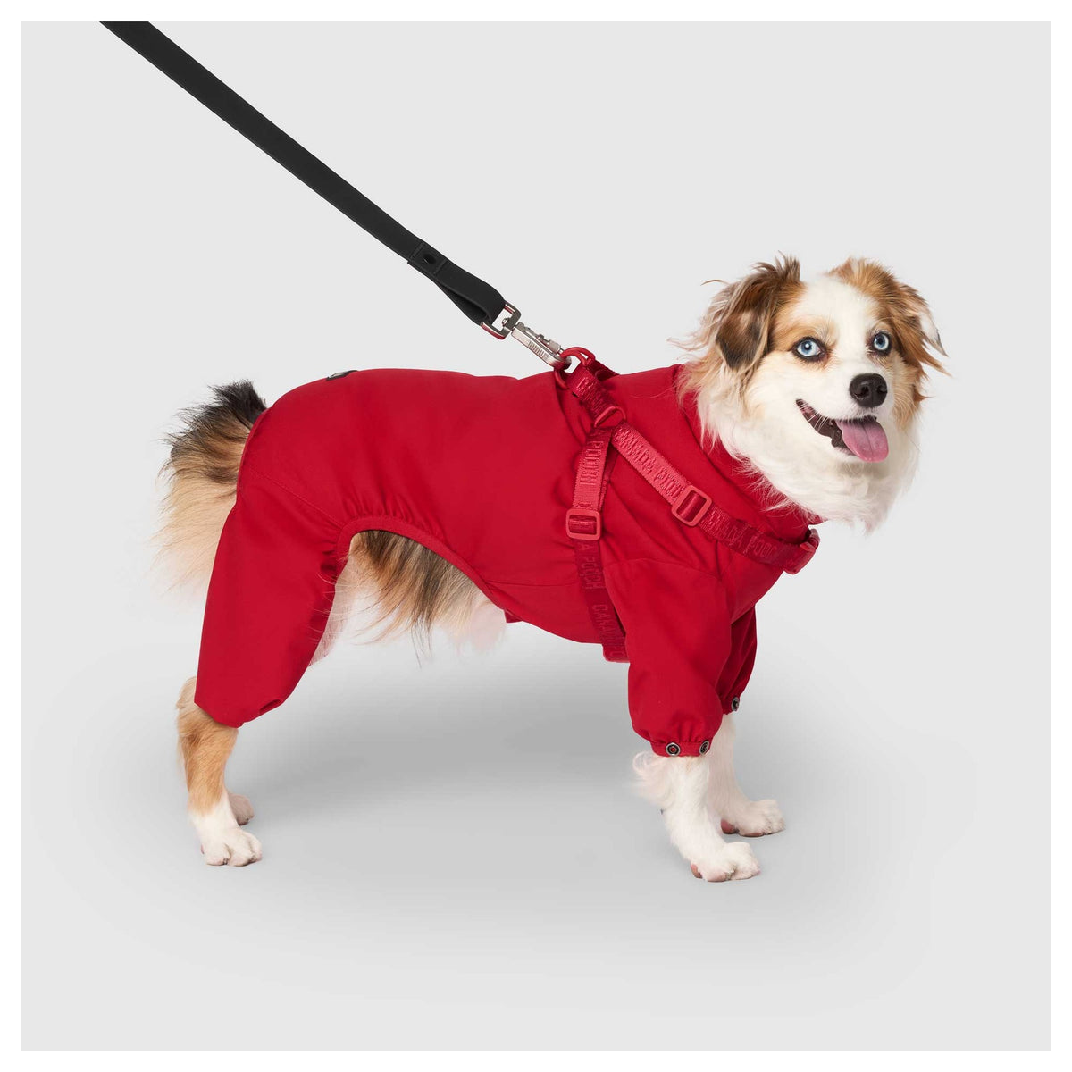 Canada Pooch Harness Snow Suit｜狗狗服飾｜加拿大直送-狗-毛孩物語Pets Thing｜香港寵物貓狗用品專門店：IATA寵物飛機籠、寵物手推車、貓爬架貓樹