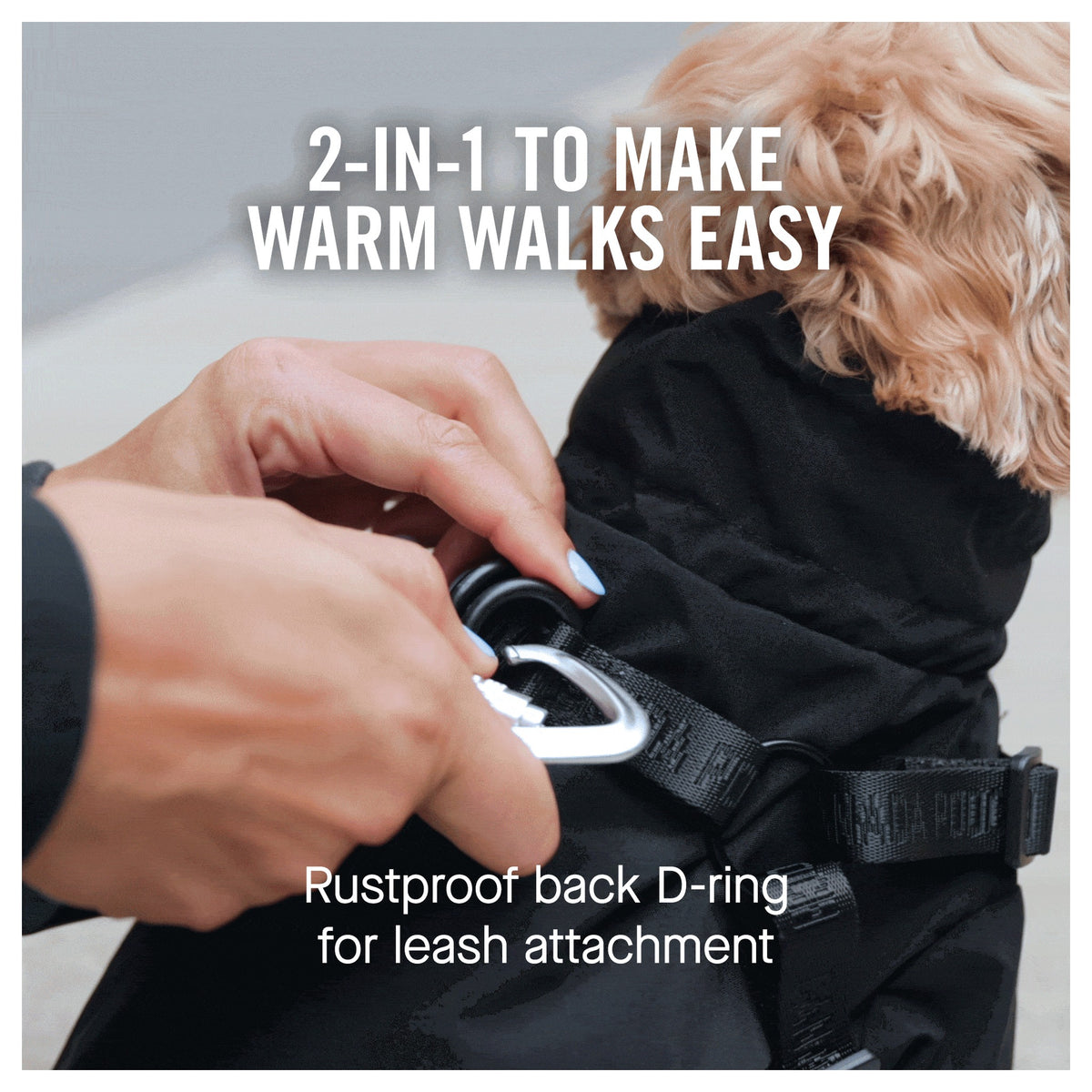Canada Pooch Harness Snow Suit｜狗狗服飾｜加拿大直送-狗-毛孩物語Pets Thing｜香港寵物貓狗用品專門店：IATA寵物飛機籠、寵物手推車、貓爬架貓樹