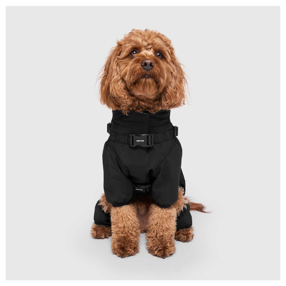 Canada Pooch Harness Snow Suit｜狗狗服飾｜加拿大直送-狗-毛孩物語Pets Thing｜香港寵物貓狗用品專門店：IATA寵物飛機籠、寵物手推車、貓爬架貓樹