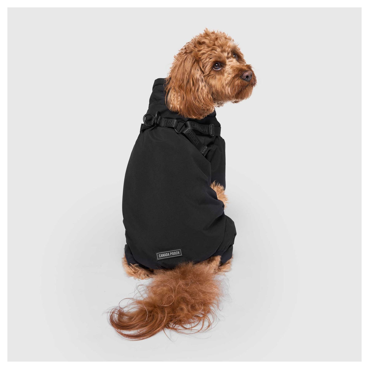 Canada Pooch Harness Snow Suit｜狗狗服飾｜加拿大直送-狗-毛孩物語Pets Thing｜香港寵物貓狗用品專門店：IATA寵物飛機籠、寵物手推車、貓爬架貓樹