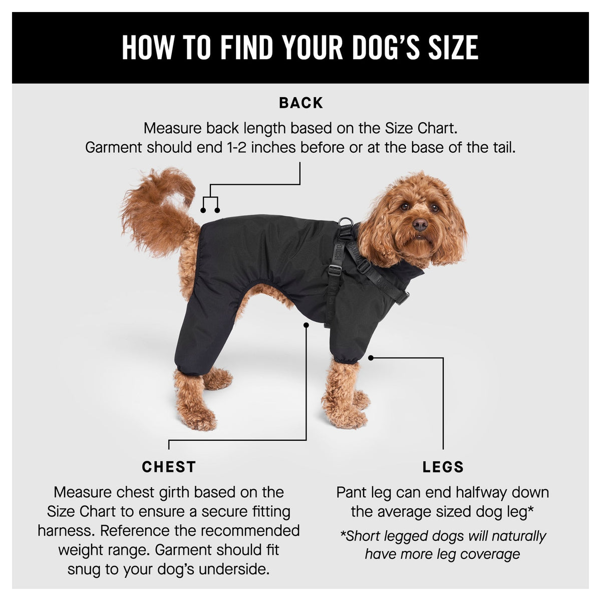 Canada Pooch Harness Snow Suit｜狗狗服飾｜加拿大直送-狗-毛孩物語Pets Thing｜香港寵物貓狗用品專門店：IATA寵物飛機籠、寵物手推車、貓爬架貓樹
