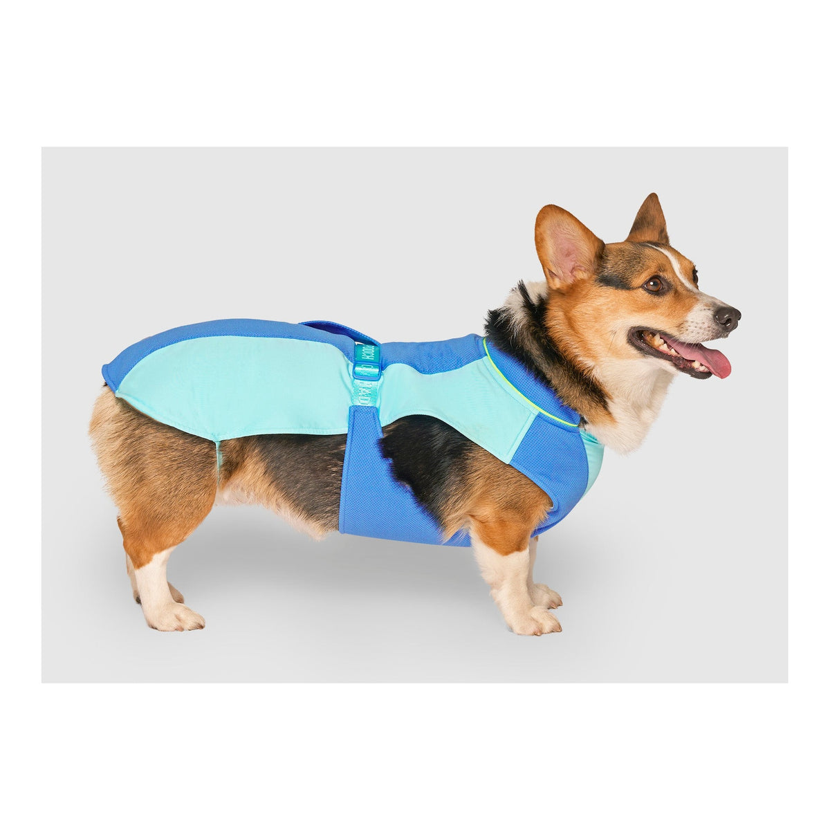 Canada Pooch Max Chill Cooling Vest｜狗狗服飾｜加拿大直送 主產品圖