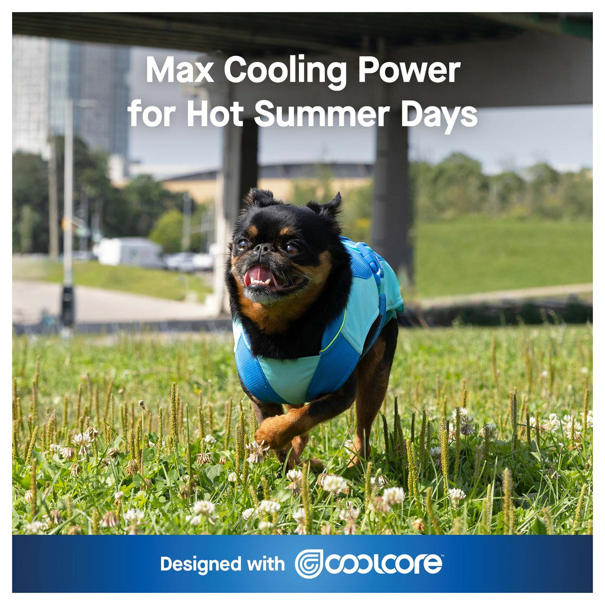 Canada Pooch Max Chill Cooling Vest｜狗狗服飾｜加拿大直送 產品細節圖 2