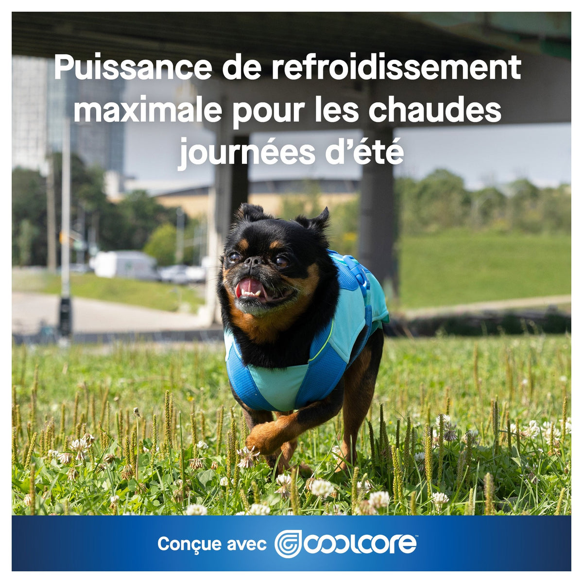 Canada Pooch Max Chill Cooling Vest｜狗狗服飾｜加拿大直送-狗-毛孩物語Pets Thing｜香港寵物貓狗用品專門店：IATA寵物飛機籠、寵物手推車、貓爬架貓樹