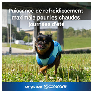 Canada Pooch Max Chill Cooling Vest｜狗狗服飾｜加拿大直送-狗-毛孩物語Pets Thing｜香港寵物貓狗用品專門店：IATA寵物飛機籠、寵物手推車、貓爬架貓樹