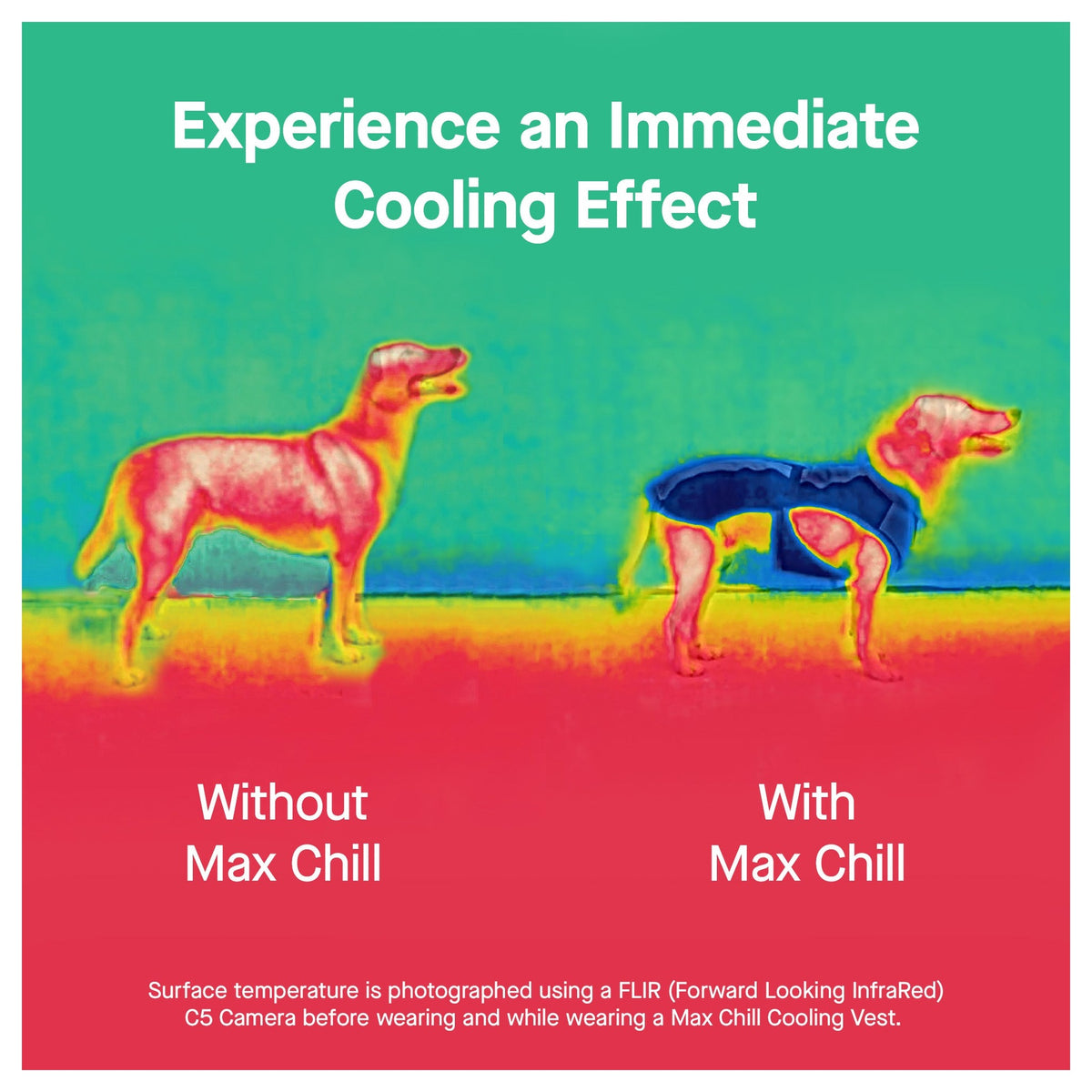 Canada Pooch Max Chill Cooling Vest｜狗狗服飾｜加拿大直送-狗-毛孩物語Pets Thing｜香港寵物貓狗用品專門店：IATA寵物飛機籠、寵物手推車、貓爬架貓樹