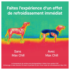 Canada Pooch Max Chill Cooling Vest｜狗狗服飾｜加拿大直送-狗-毛孩物語Pets Thing｜香港寵物貓狗用品專門店：IATA寵物飛機籠、寵物手推車、貓爬架貓樹