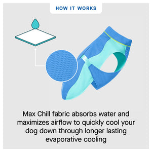 Canada Pooch Max Chill Cooling Vest｜狗狗服飾｜加拿大直送-狗-毛孩物語Pets Thing｜香港寵物貓狗用品專門店：IATA寵物飛機籠、寵物手推車、貓爬架貓樹