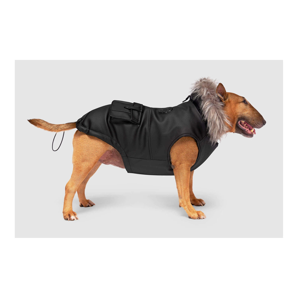 Canada Pooch Eco+ Alaskan Army Parka｜狗狗服飾｜加拿大直送-狗-毛孩物語Pets Thing｜香港寵物貓狗用品專門店：IATA寵物飛機籠、寵物手推車、貓爬架貓樹