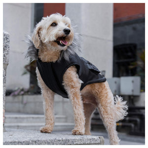 Canada Pooch Eco+ Alaskan Army Parka｜狗狗服飾｜加拿大直送-狗-毛孩物語Pets Thing｜香港寵物貓狗用品專門店：IATA寵物飛機籠、寵物手推車、貓爬架貓樹