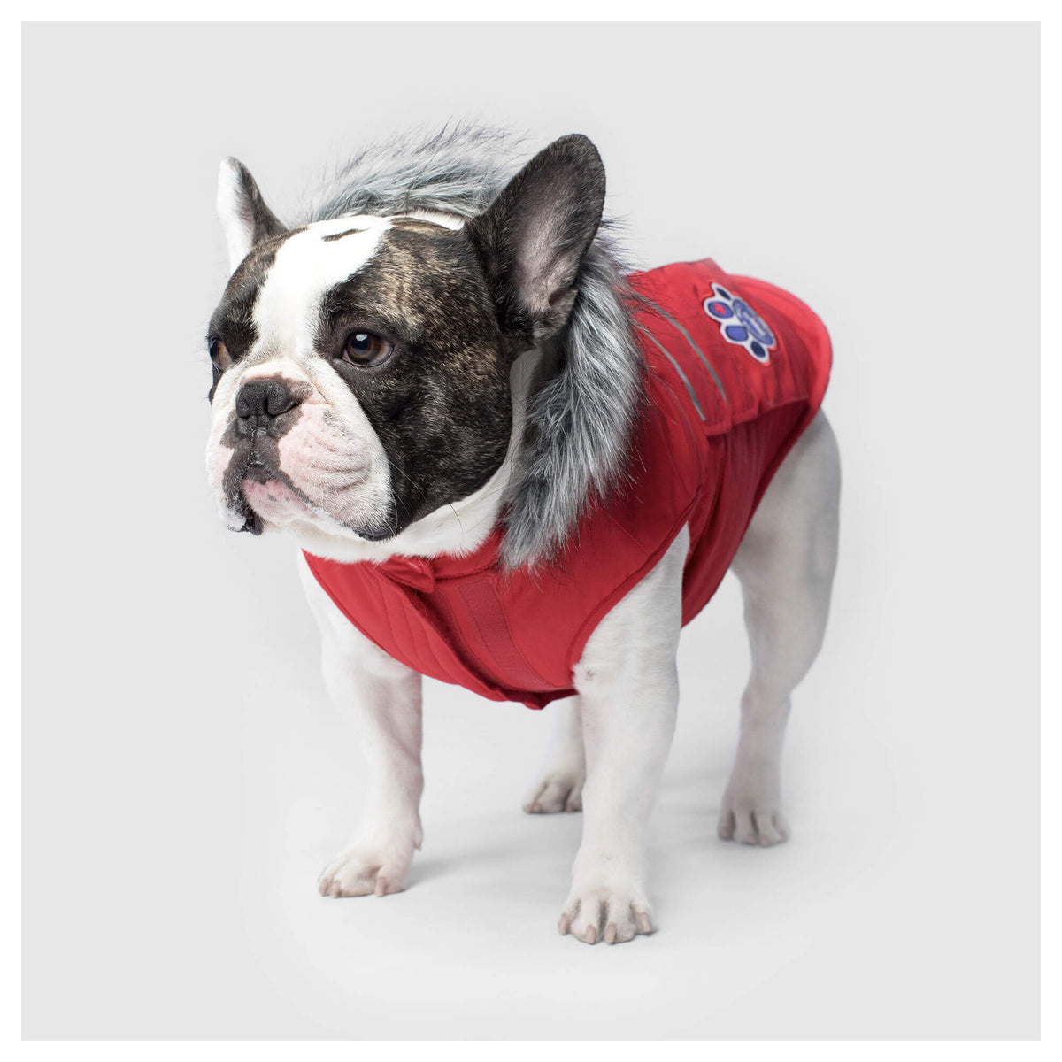 Canada Pooch Everest Explorer Jacket｜狗狗服飾｜加拿大直送-狗-毛孩物語Pets Thing｜香港寵物貓狗用品專門店：IATA寵物飛機籠、寵物手推車、貓爬架貓樹