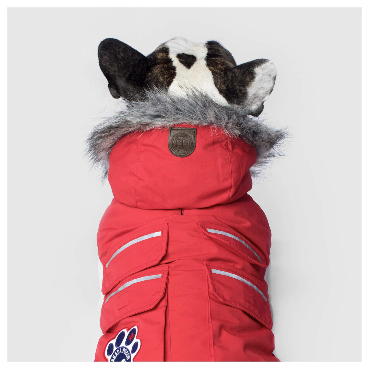 Canada Pooch Everest Explorer Jacket｜狗狗服飾｜加拿大直送-狗-毛孩物語Pets Thing｜香港寵物貓狗用品專門店：IATA寵物飛機籠、寵物手推車、貓爬架貓樹