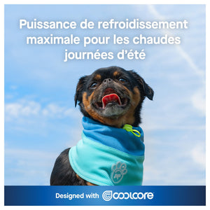 Canada Pooch Max Chill Cooling Snood｜狗狗服飾｜加拿大直送-狗-毛孩物語Pets Thing｜香港寵物貓狗用品專門店：IATA寵物飛機籠、寵物手推車、貓爬架貓樹