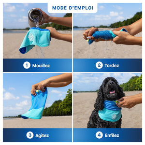 Canada Pooch Max Chill Cooling Snood｜狗狗服飾｜加拿大直送-狗-毛孩物語Pets Thing｜香港寵物貓狗用品專門店：IATA寵物飛機籠、寵物手推車、貓爬架貓樹