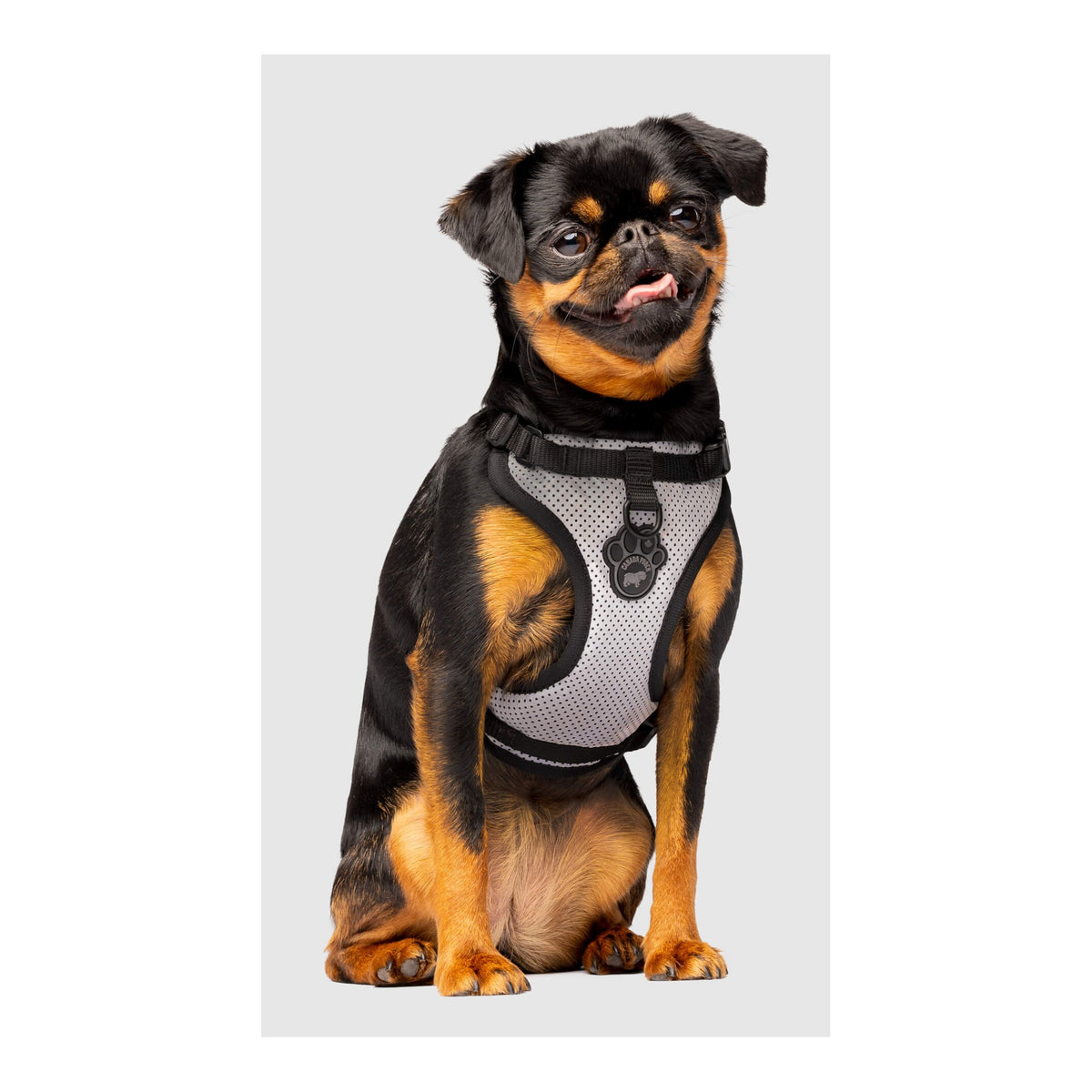 Canada Pooch The Everything Harness Mesh Series｜狗狗胸帶及戶外用品｜加拿大直送-寵物胸背帶-毛孩物語Pets Thing｜香港寵物貓狗用品專門店：IATA寵物飛機籠、寵物手推車、貓爬架貓樹