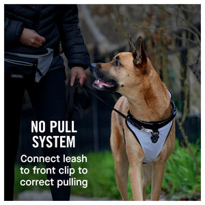 Canada Pooch The Everything Harness Mesh Series｜狗狗胸帶及戶外用品｜加拿大直送-寵物胸背帶-毛孩物語Pets Thing｜香港寵物貓狗用品專門店：IATA寵物飛機籠、寵物手推車、貓爬架貓樹