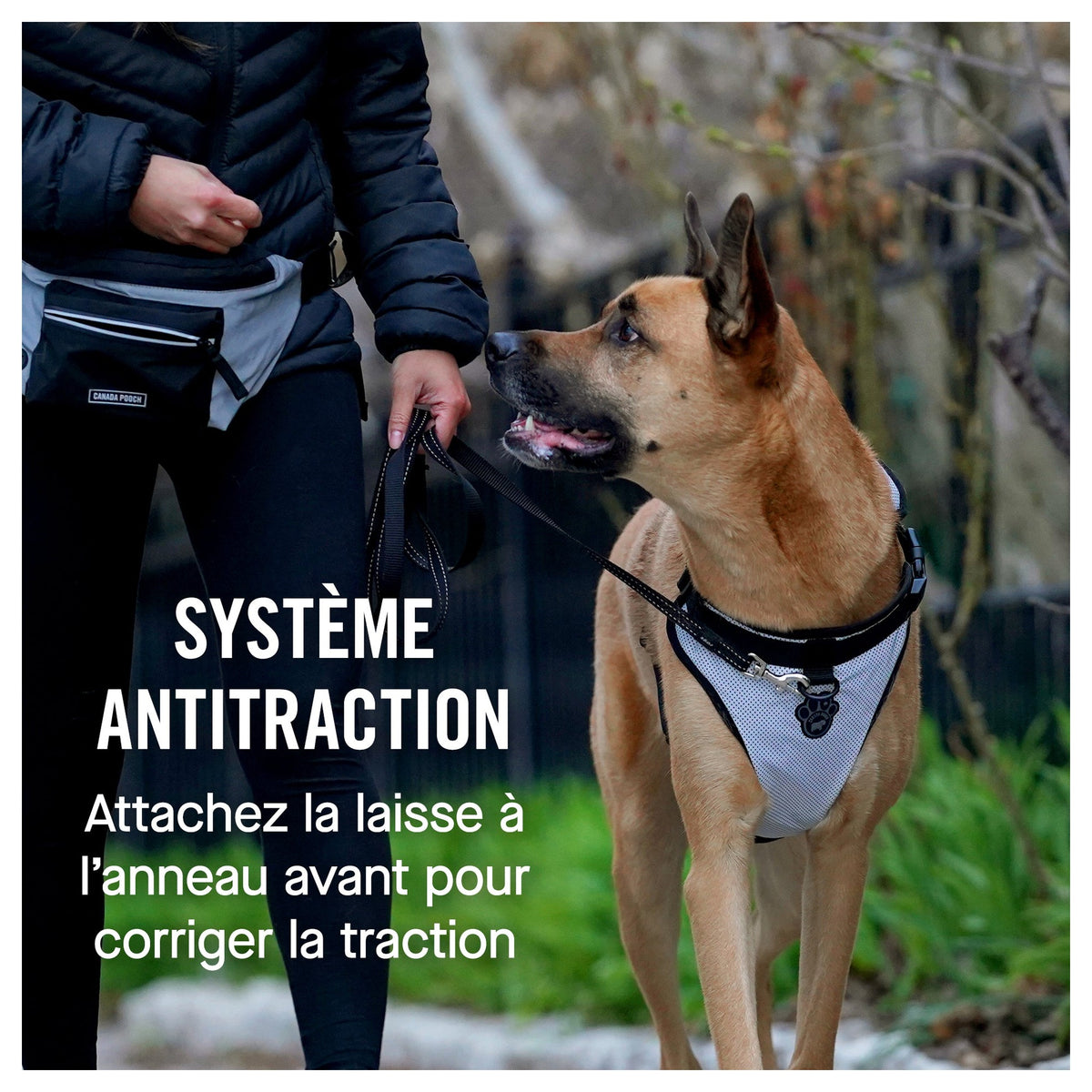 Canada Pooch The Everything Harness Mesh Series｜狗狗胸帶及戶外用品｜加拿大直送-寵物胸背帶-毛孩物語Pets Thing｜香港寵物貓狗用品專門店：IATA寵物飛機籠、寵物手推車、貓爬架貓樹