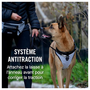 Canada Pooch The Everything Harness Mesh Series｜狗狗胸帶及戶外用品｜加拿大直送-寵物胸背帶-毛孩物語Pets Thing｜香港寵物貓狗用品專門店：IATA寵物飛機籠、寵物手推車、貓爬架貓樹