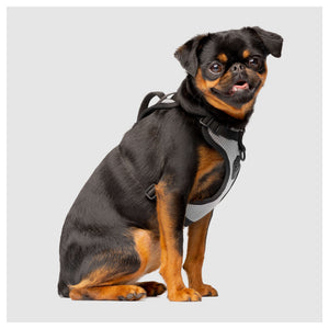 Canada Pooch The Everything Harness Mesh Series｜狗狗胸帶及戶外用品｜加拿大直送-寵物胸背帶-毛孩物語Pets Thing｜香港寵物貓狗用品專門店：IATA寵物飛機籠、寵物手推車、貓爬架貓樹