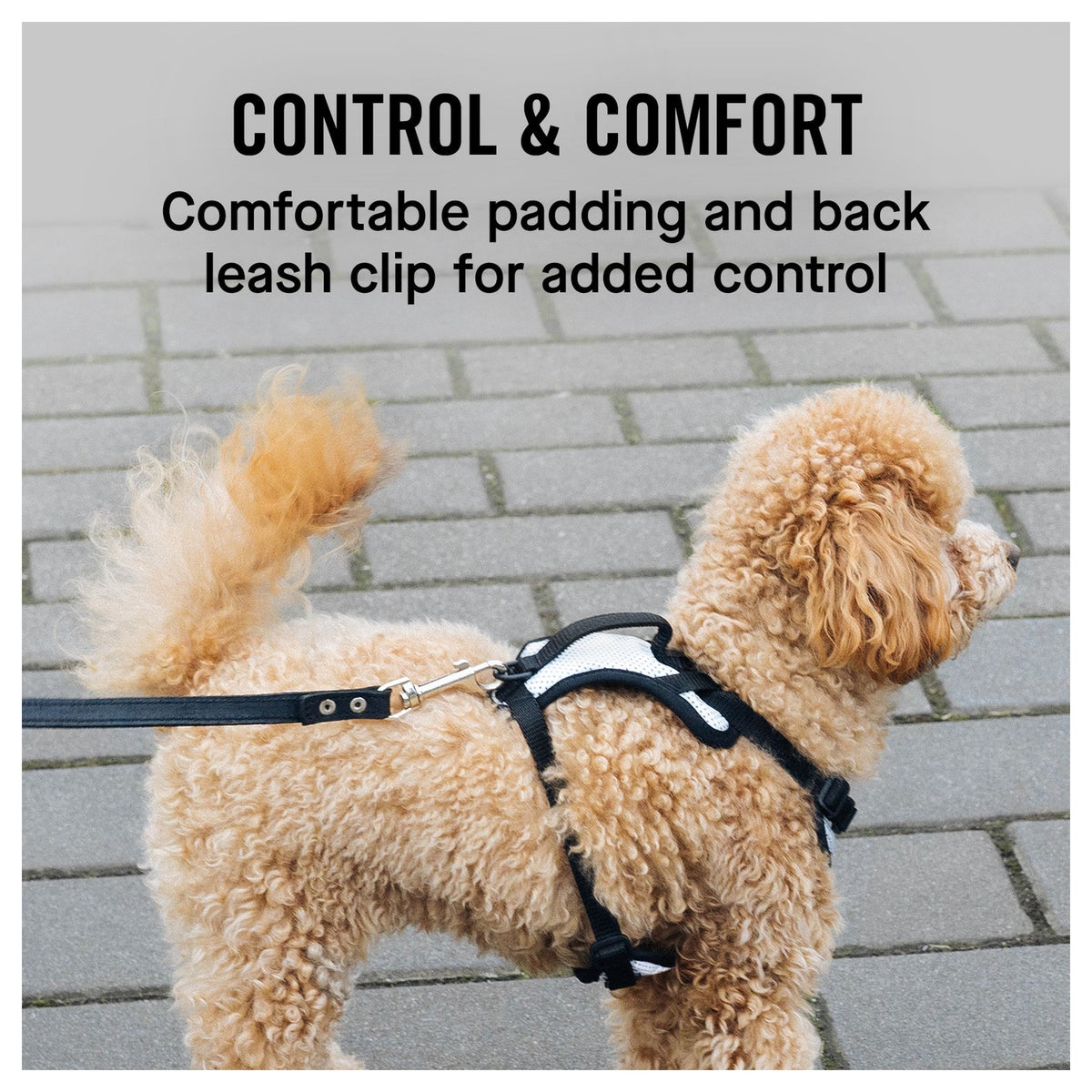 Canada Pooch The Everything Harness Mesh Series｜狗狗胸帶及戶外用品｜加拿大直送-寵物胸背帶-毛孩物語Pets Thing｜香港寵物貓狗用品專門店：IATA寵物飛機籠、寵物手推車、貓爬架貓樹