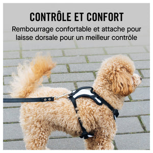 Canada Pooch The Everything Harness Mesh Series｜狗狗胸帶及戶外用品｜加拿大直送-寵物胸背帶-毛孩物語Pets Thing｜香港寵物貓狗用品專門店：IATA寵物飛機籠、寵物手推車、貓爬架貓樹