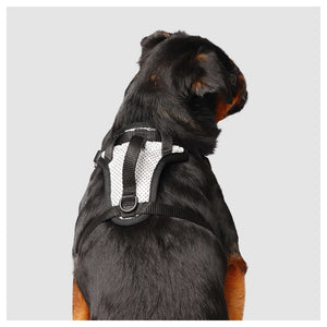 Canada Pooch The Everything Harness Mesh Series｜狗狗胸帶及戶外用品｜加拿大直送-寵物胸背帶-毛孩物語Pets Thing｜香港寵物貓狗用品專門店：IATA寵物飛機籠、寵物手推車、貓爬架貓樹