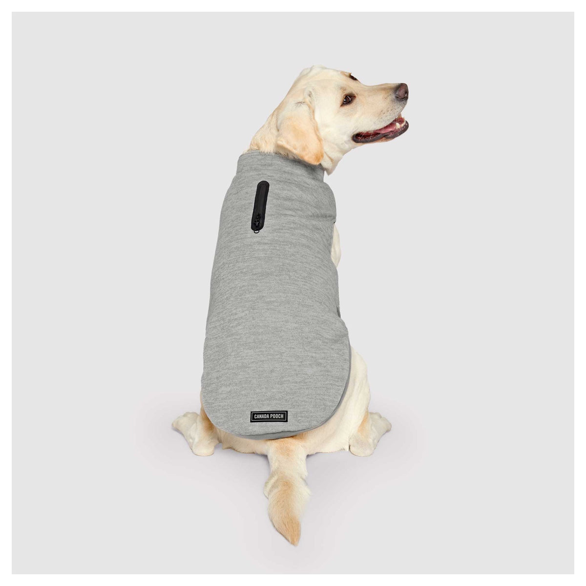 Canada Pooch Waterproof Sweater｜狗狗服飾｜加拿大直送 產品細節圖 2