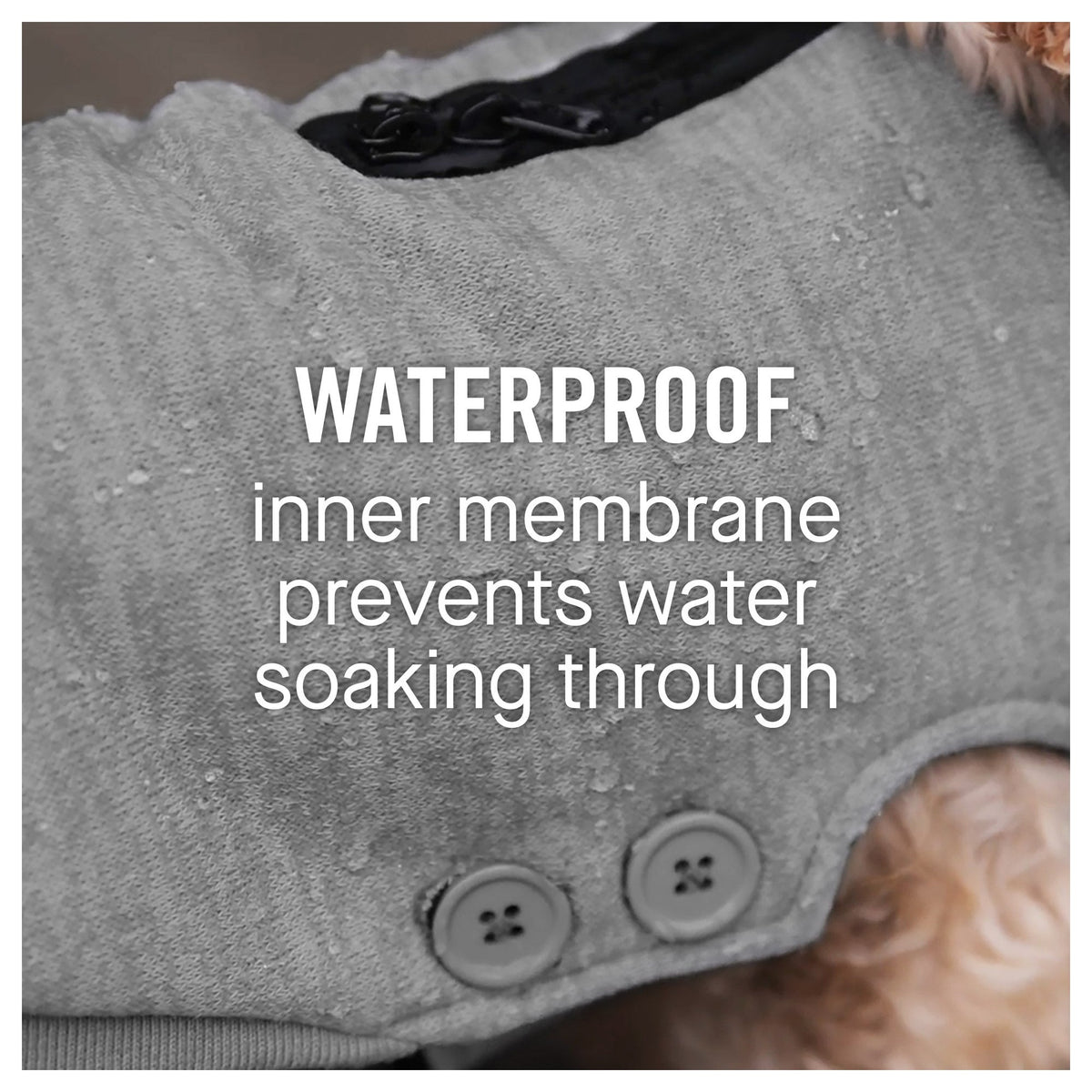 Canada Pooch Waterproof Sweater｜狗狗服飾｜加拿大直送 產品細節圖 3